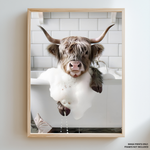 Load image into Gallery viewer, Highland Cow Bathtub Bubbles | Canvas Print
