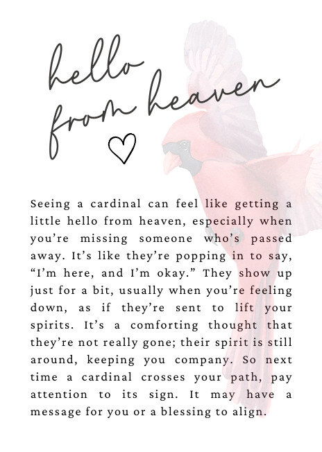 Hello From Heaven | Cardinal | Story Card | Ornament